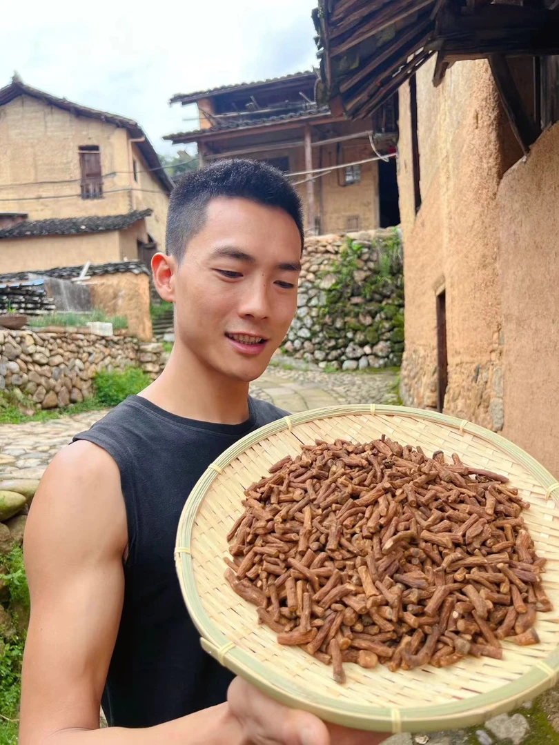 农家 山货蒲公英根