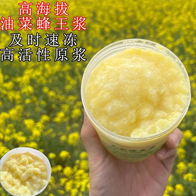 新鲜青海油菜花蜂王浆500g优质纯正高海拔油菜蜂王浆蜂初乳蜜王浆