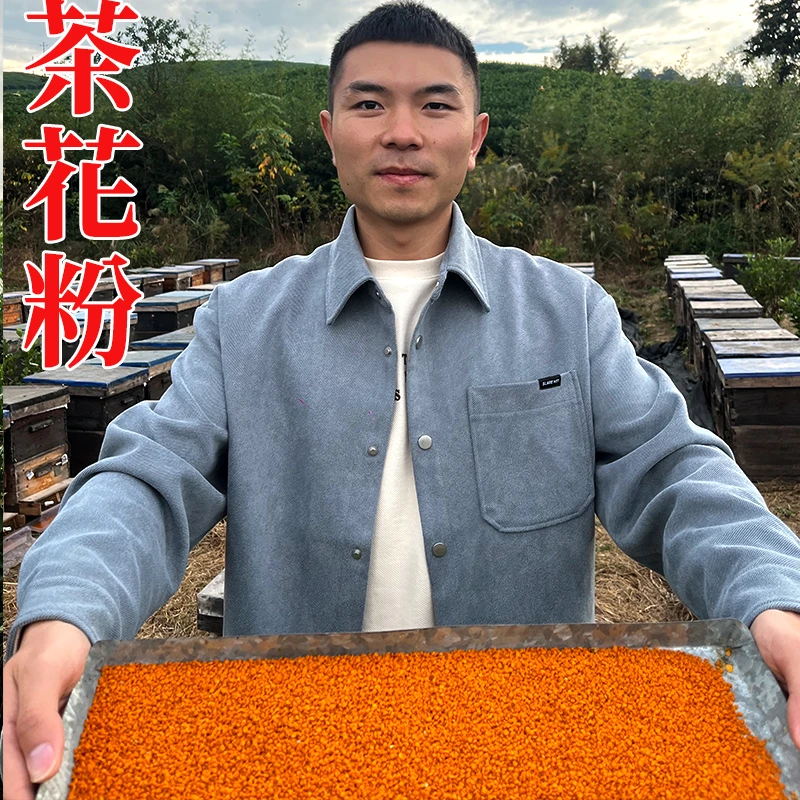 【福利品1瓶】新鲜浙江茶花粉250g蜂花粉蜜蜂花粉女性食用春暖花开
