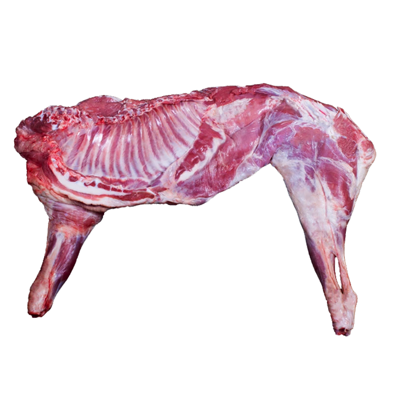 新疆阿瓦提荒滩--刀郎羊 羊肉 4000g
