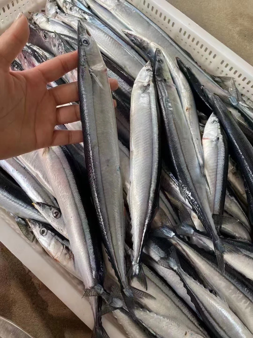 深海秋刀鱼冷冻鲜活海捕鱼日式烧烤食材香煎鱼