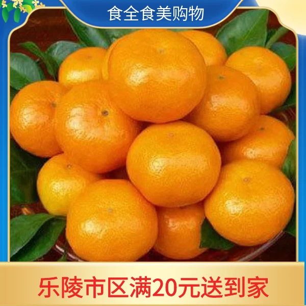 新鲜好吃蜜桔(500g)