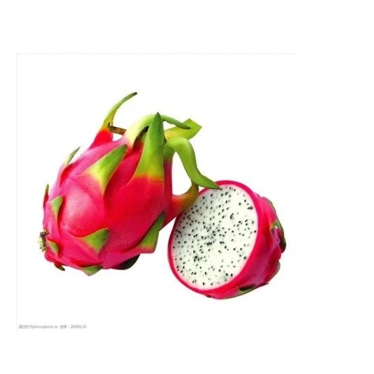 白心火龙果4斤装