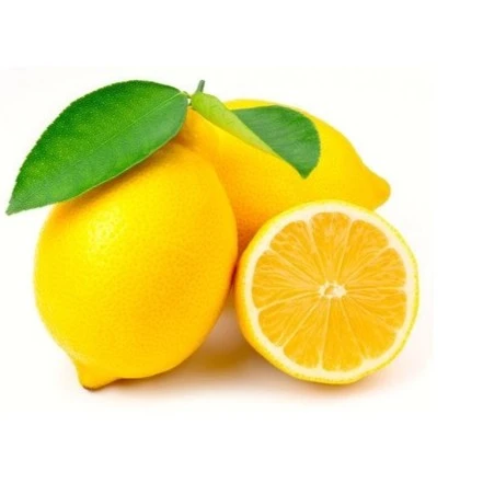 海南柠檬2个装中大果