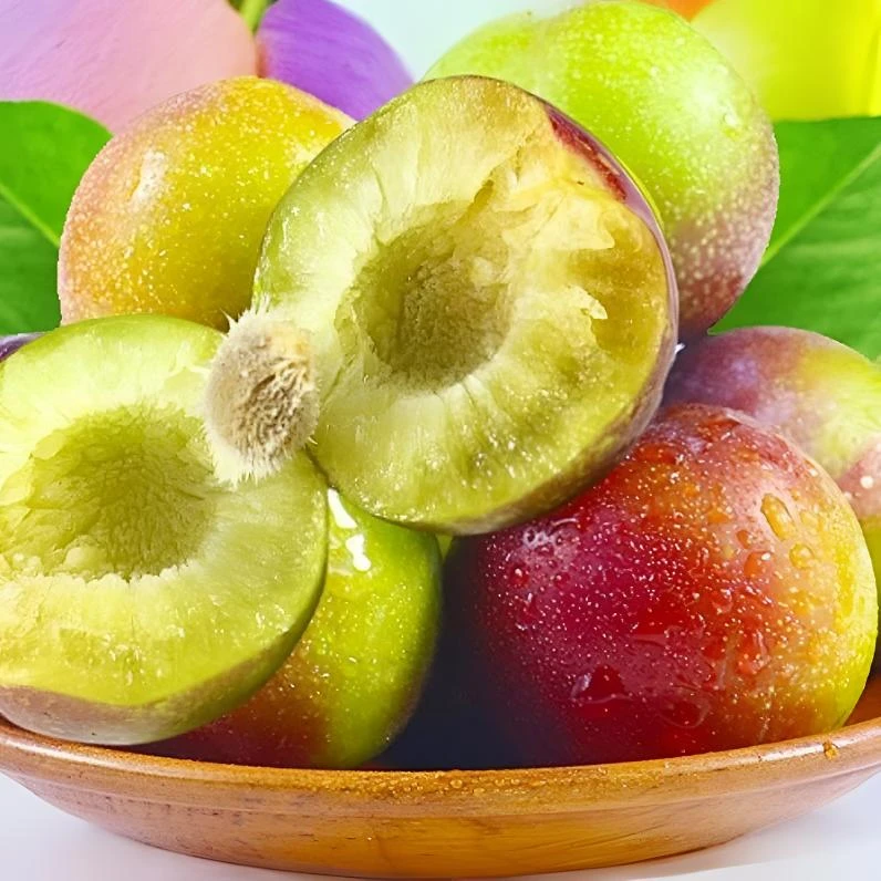 四川脱骨脆红李子树苗半边红茵红李子苗盆栽地栽当年结果苗