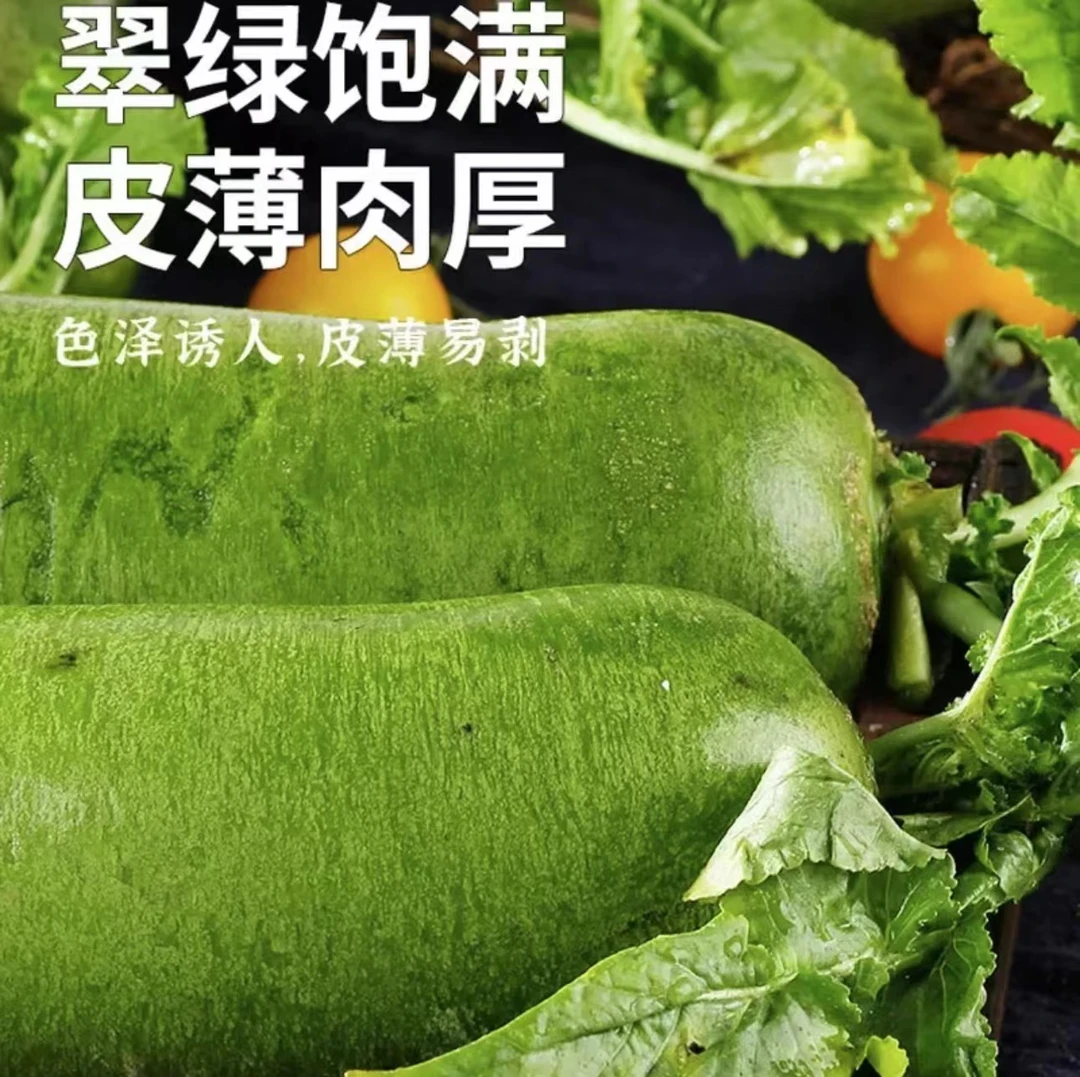 【甄选品质】正宗水果萝卜青皮沙窝萝卜脆甜可口水分多新鲜产地直发