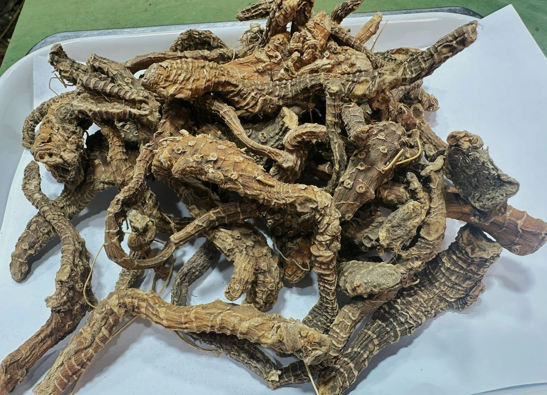 【阿刊収好货】现-收土特产 阿-勃-参 250-1000克食用农产品