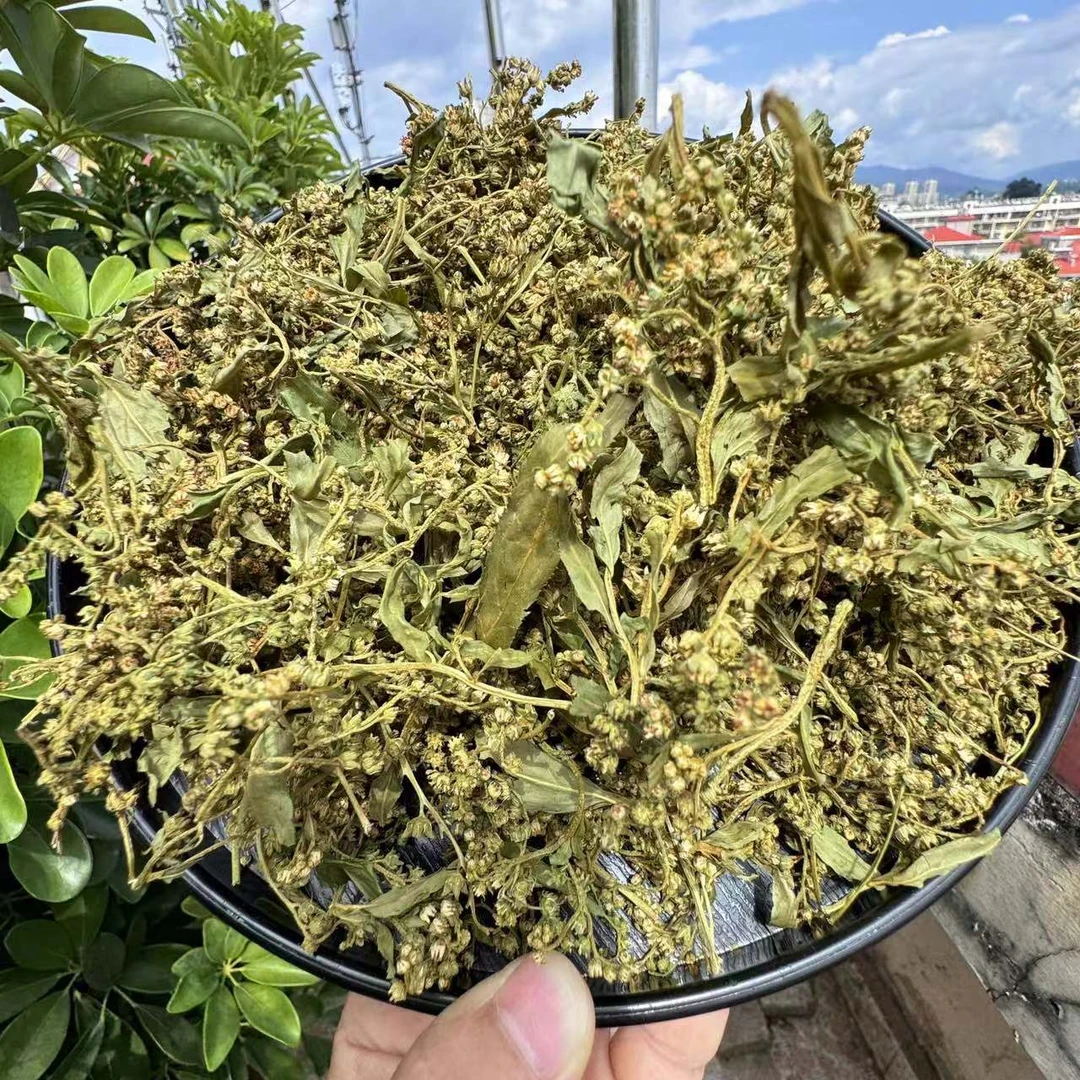 【小雪収好货】现-收土特产 赶-黄-草 150克- 500克食用农产品