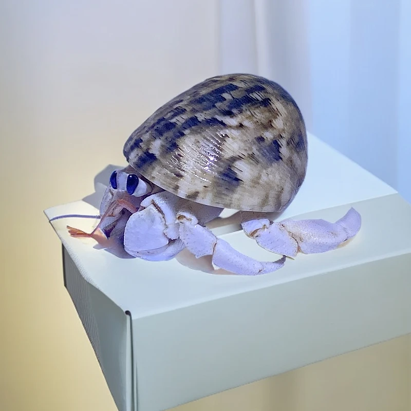 懒人萌宠寄居蟹，随机发