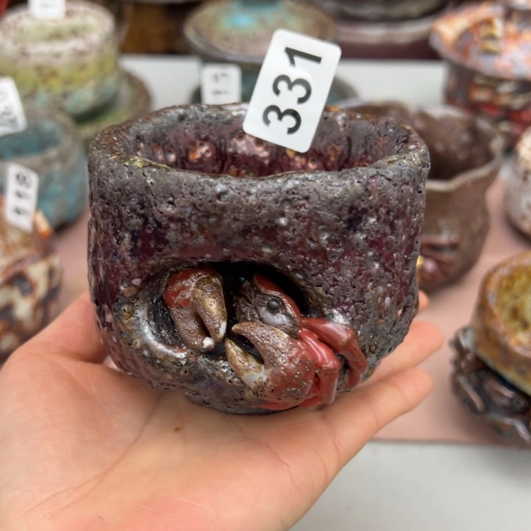 【闪购商品】陶大*