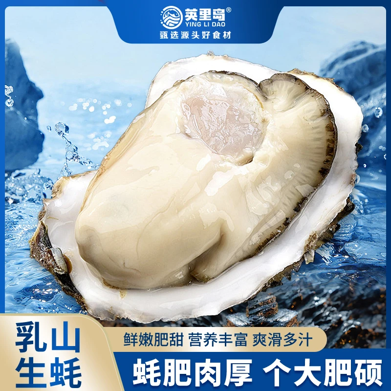 英里岛乳山生蚝鲜活牡蛎5斤装顺丰京东发货蒜蓉烧烤海鲜水产