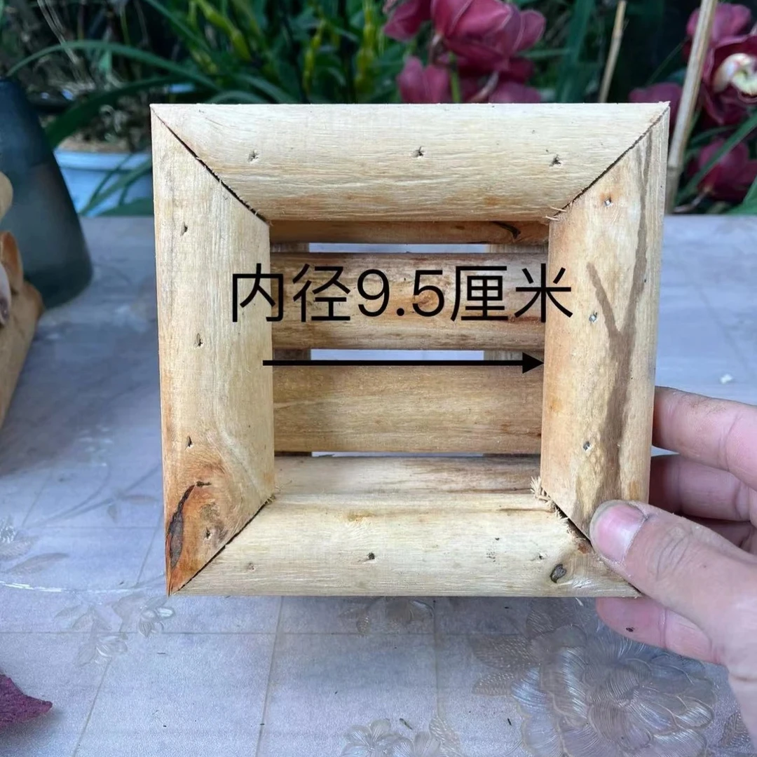 木盒(可种植各种石斛兰花)