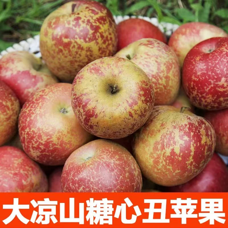 【坏果包赔】正宗四川凉山盐源丑苹果脆甜多汁冰糖心随机新鲜水果