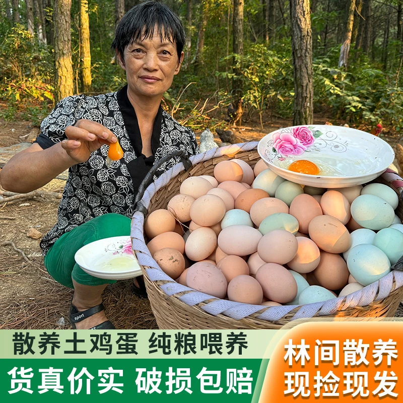 刘姐农场土鸡蛋正宗山林散养土鸡蛋新鲜土鸡乌鸡蛋生鲜批发
