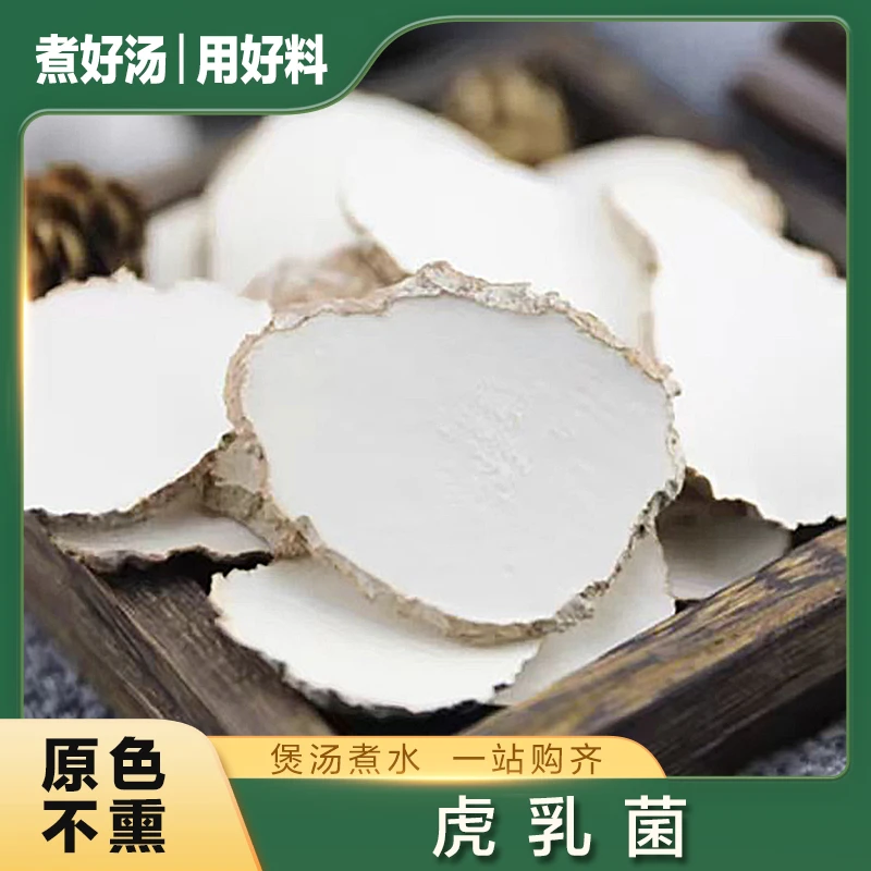 虎乳菌 切片 原色不熏 马来