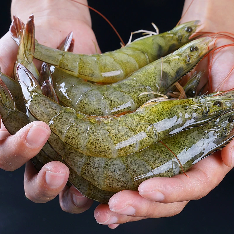 新鲜海洋大虾 食用 冻 虾14-16只左右/斤 紧实三斤/盒鲜速冻发货