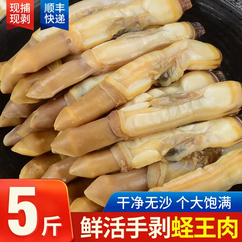 鲜嫩蛏子肉严选  5斤顺丰包邮 冷冻蛏王肉现剥干净饱满新鲜速冻