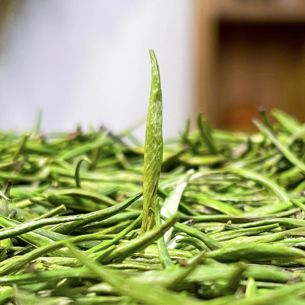 【头春单芽雀舌】正宗新茶绿茶精选湄潭嫩单芽毛尖雀舌清香罐装试喝
