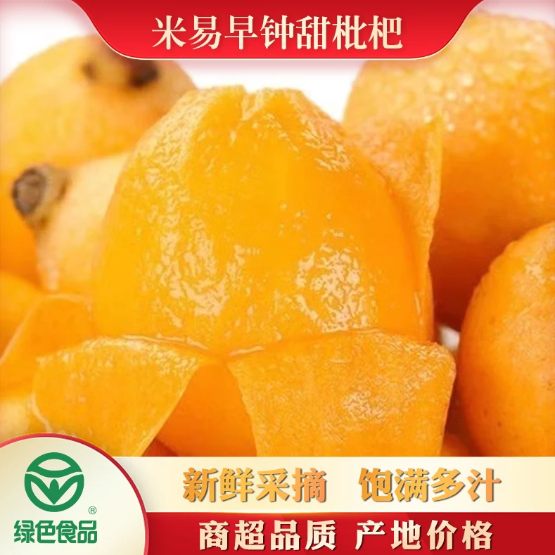 顺丰包邮米易枇杷鲜果大果园直发四川攀枝花早钟枇杷产地24/45枚