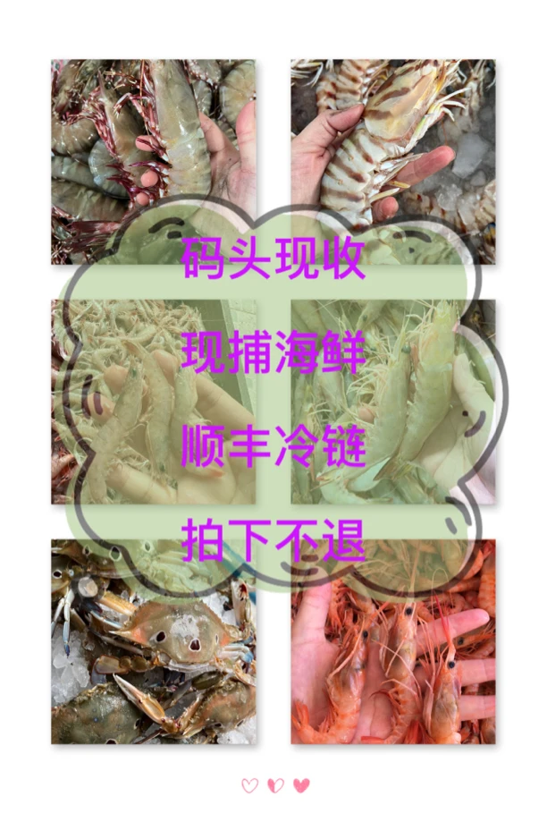 1⃣️甲子港代购海鲜拍下鱼虾蟹3-20斤(包杀)海捕