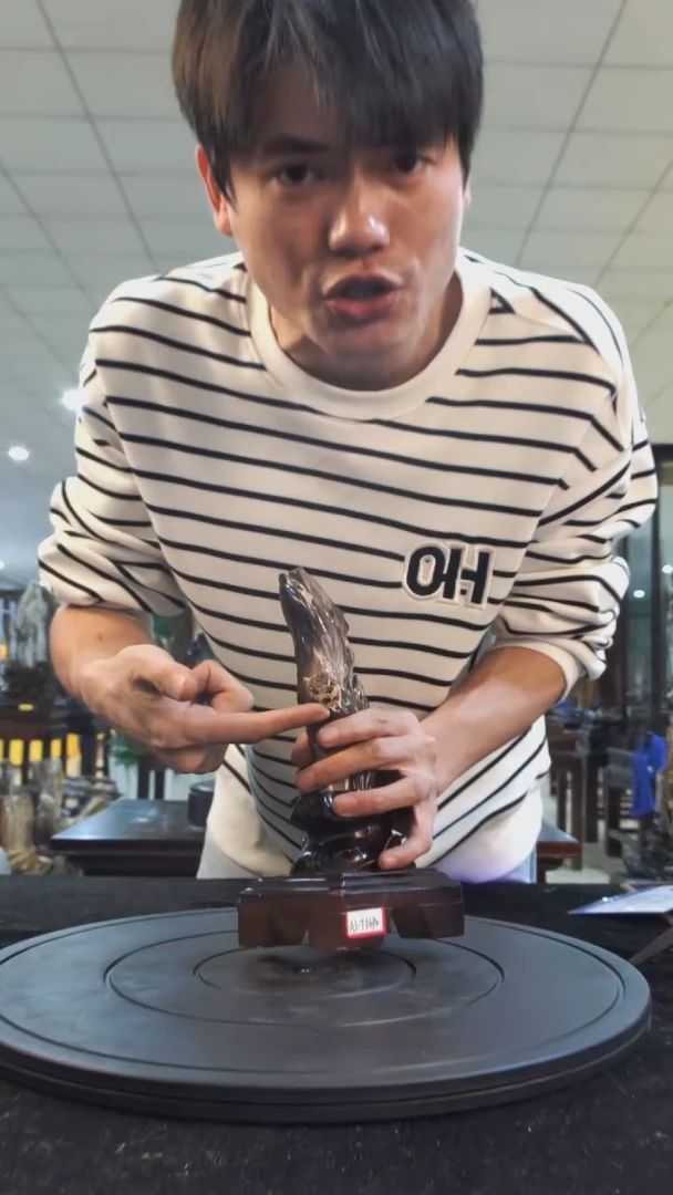 【闪购商品】硅化玉珠宝奇石未镶嵌1