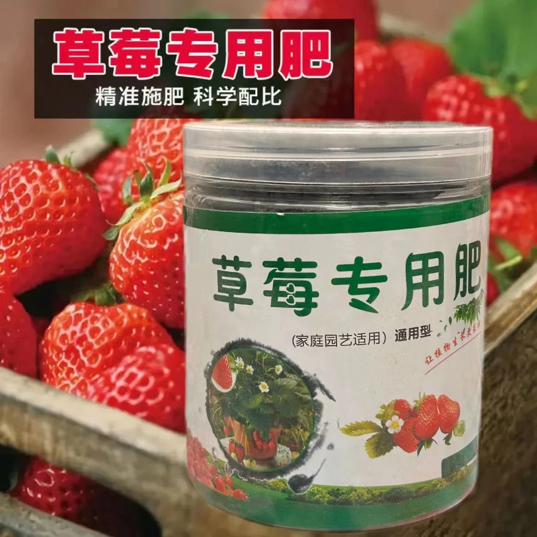 【草莓专用肥】果大果甜增产延长坐果期家用盆栽颗粒缓释营养肥