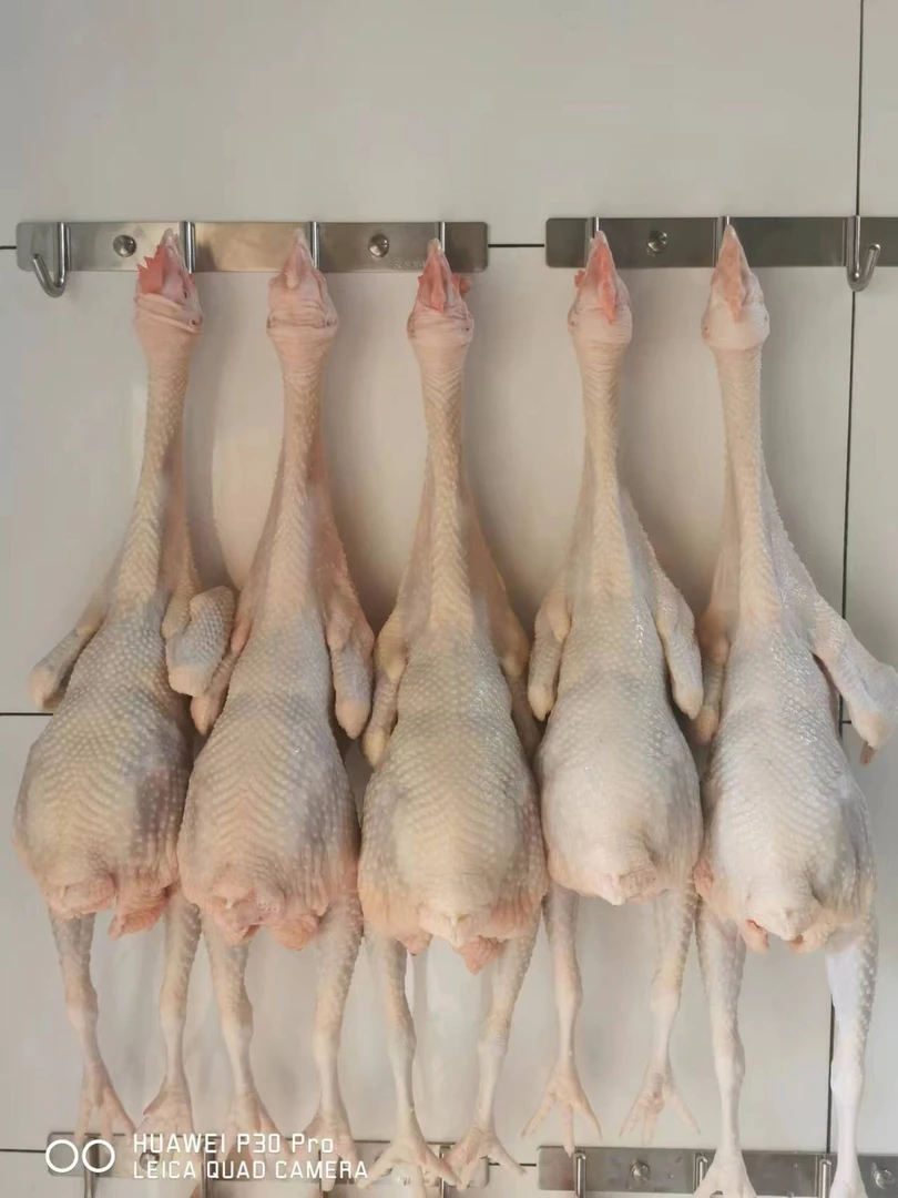 生态土鸡、鸡鸾、小母鸡、生鲜鸡肉