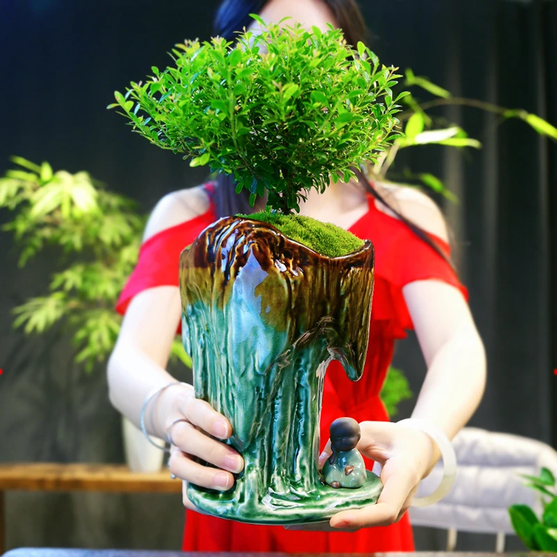 小叶赤楠老桩造型盆景苗植物花产微景观办公室内好养四季常青盆栽