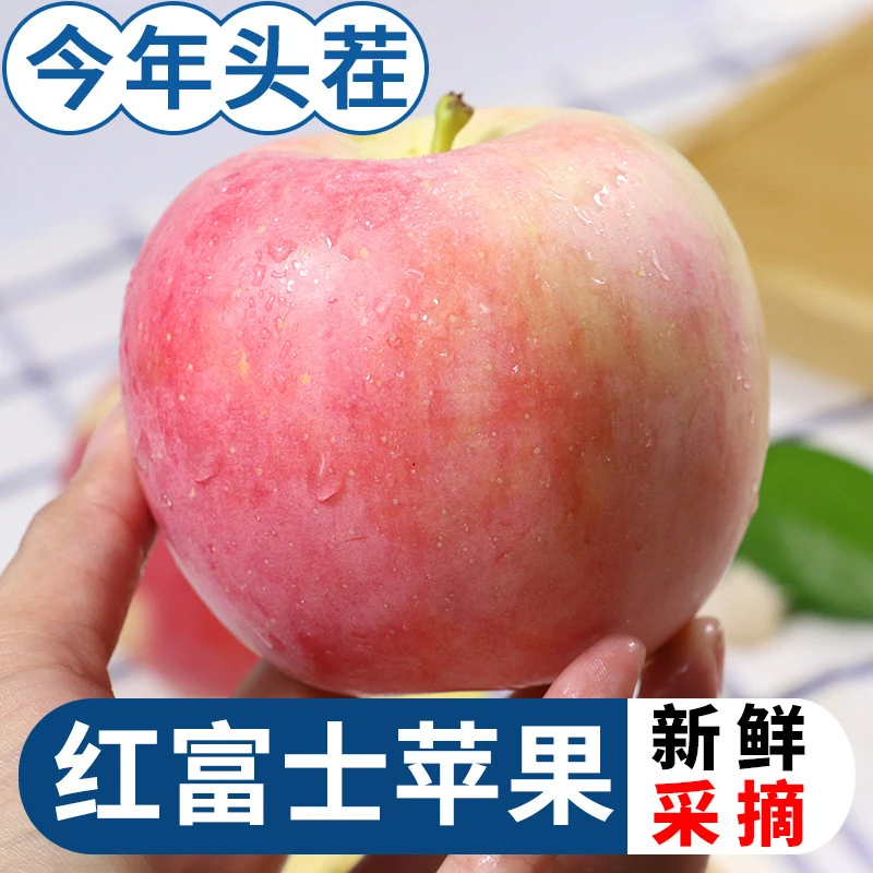 正宗陕西红富士2025年头茬新果脆甜多汁