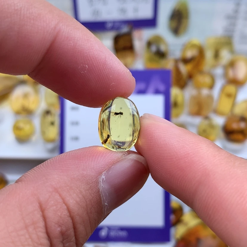【闪购商品】琥珀裸石未镶嵌
