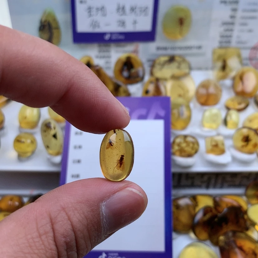 【闪购商品】琥珀裸石未镶嵌