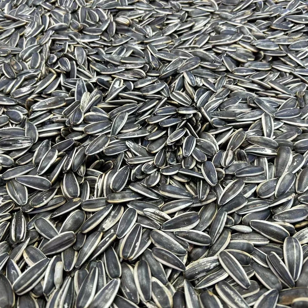 特价干炒瓜子 250g（干果）