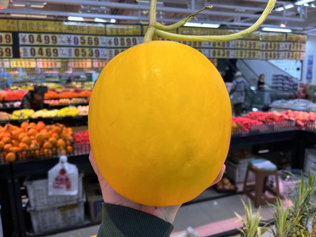 久红瑞瓜一个（水果）