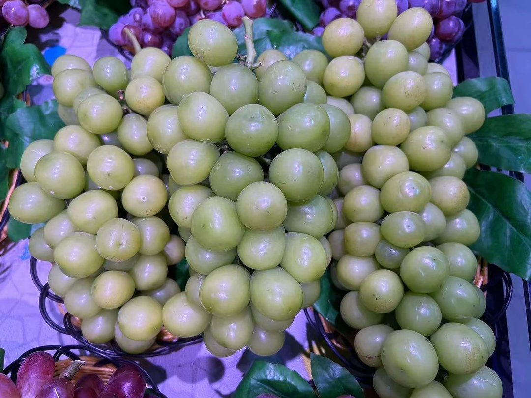 特价阳光玫瑰（水果）
