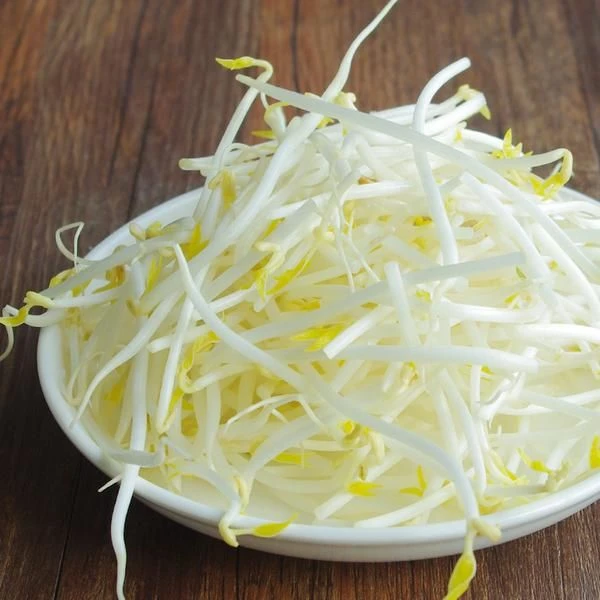 【香橙源优选】绿豆芽1斤(蔬菜)