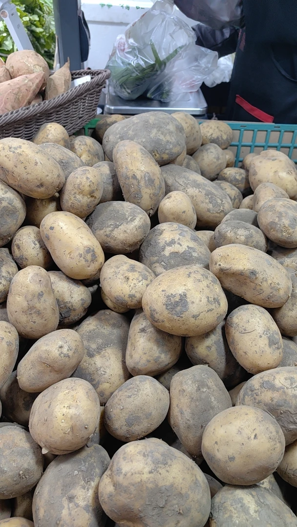 盘锦土豆 2斤左右（蔬菜）