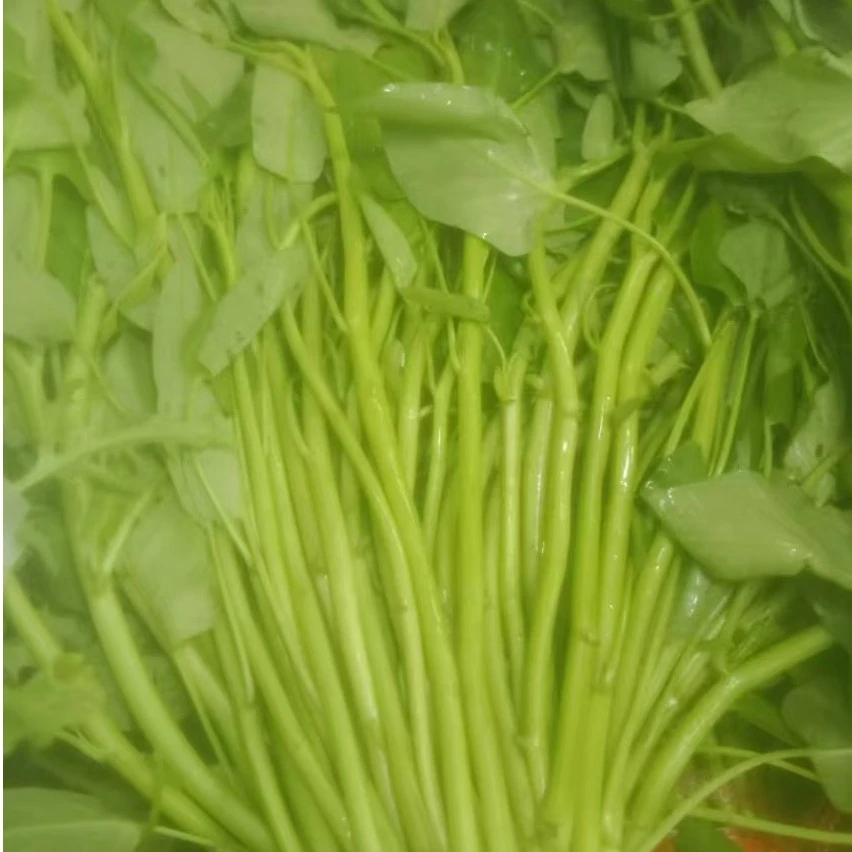 空心菜 250g(蔬菜)