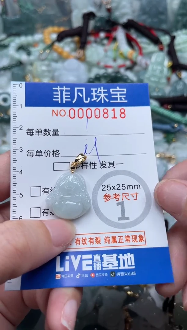 【闪购商品】翡翠颈饰未镶嵌00..0818