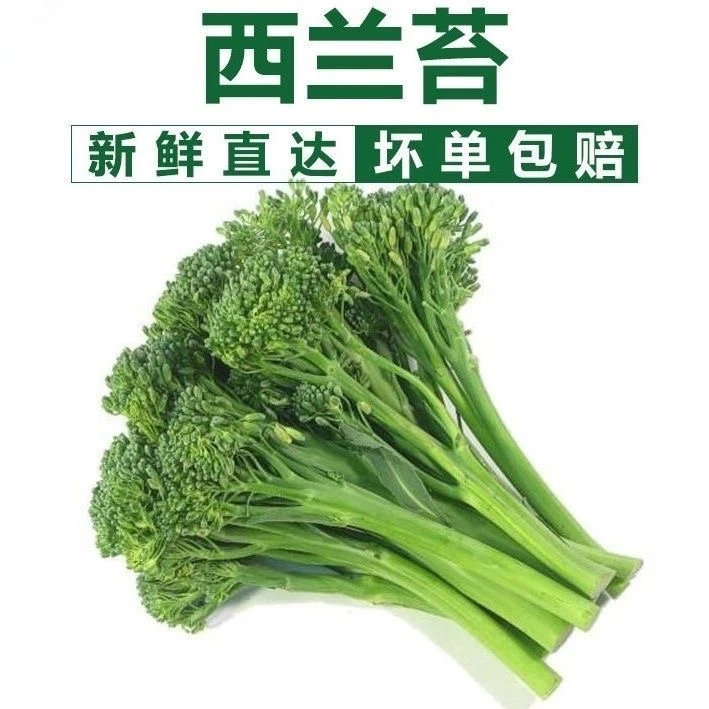 西兰花苔云南西兰花菜苔新鲜兰花苔芥蓝菜农家自种火锅兰花菜新鲜
