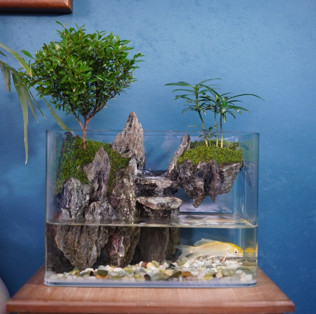 悬山-25方桌面景观真实绿植造景创意微景观组合生态瓶可养鱼