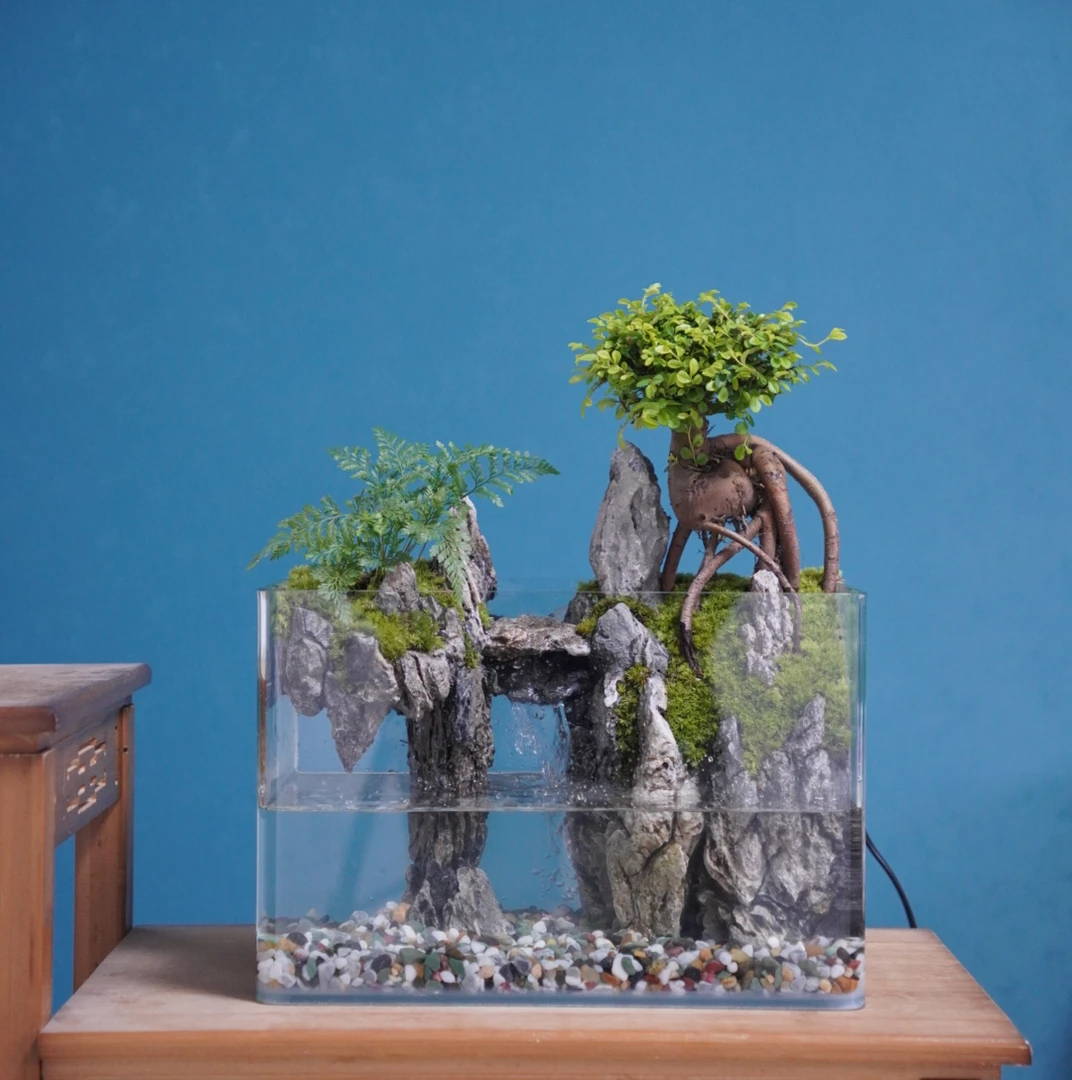 擎天-30方缸桌面景观真实绿植造景创意微景观组合生态瓶可养鱼