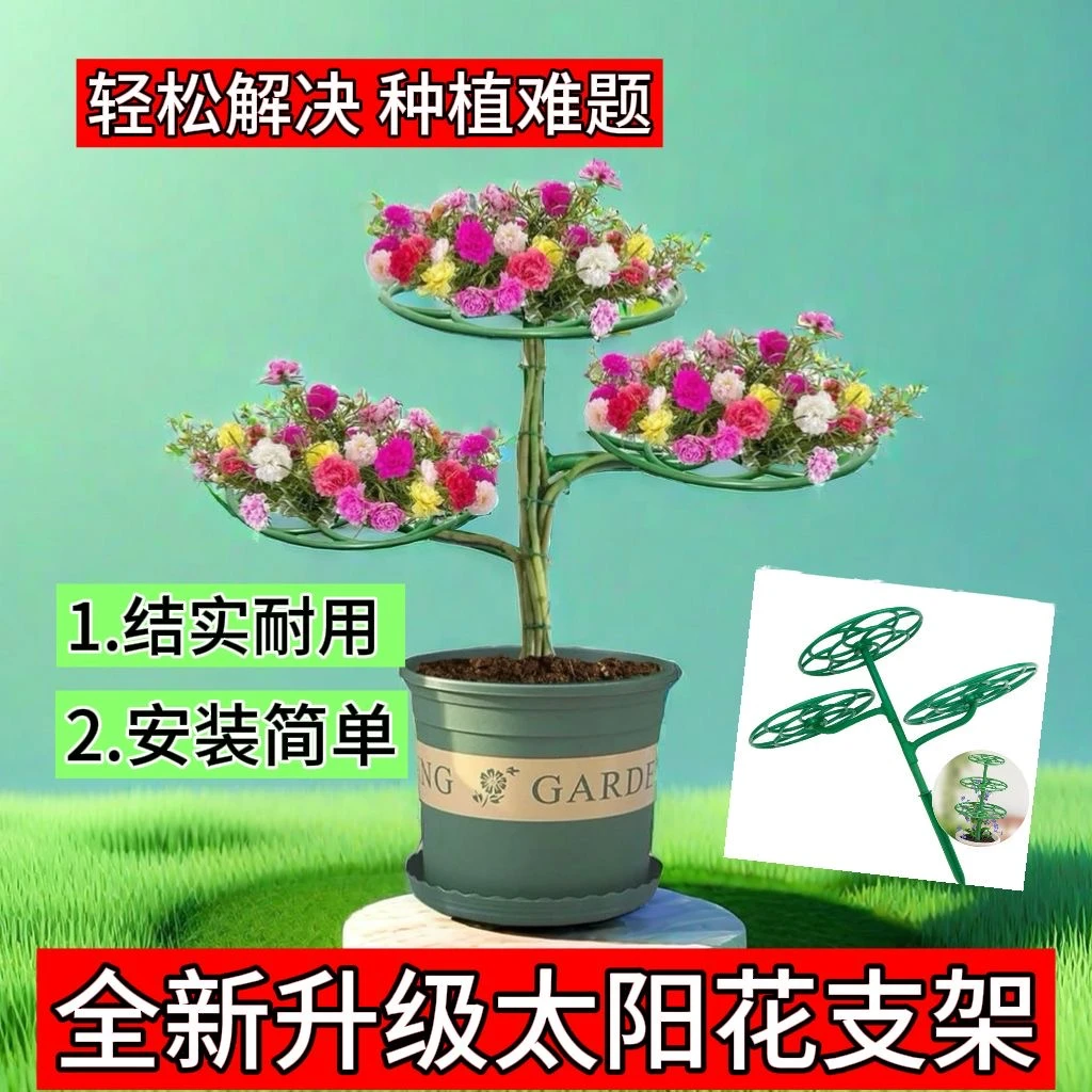 太阳花架子造型棒棒糖支架蟹爪兰铁线莲爬藤架防倒伏多层植物固定