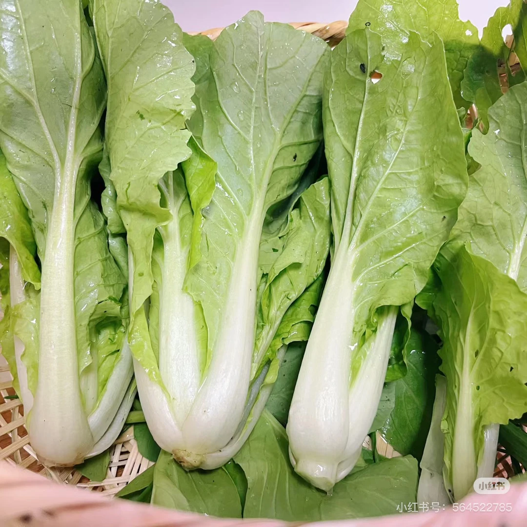 小白菜/约400 g