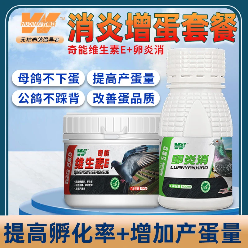 五禽戏维生素炎消赛鸽信鸽增蛋套装