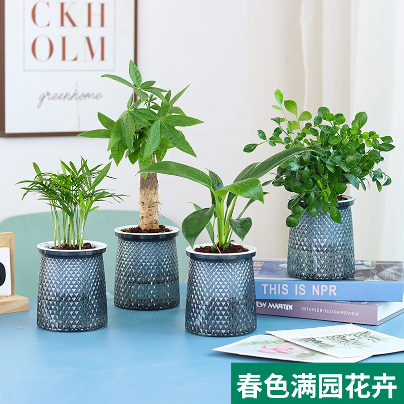 四件套发财树九里香金钻椰子阳台客厅水培土培懒人自吸水绿植盆栽