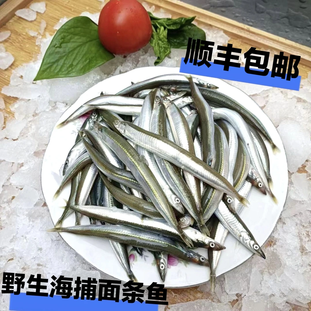 4斤海鱼面条鱼/玉筋鱼可油炸红烧顺风冷链偶有破肚属正常