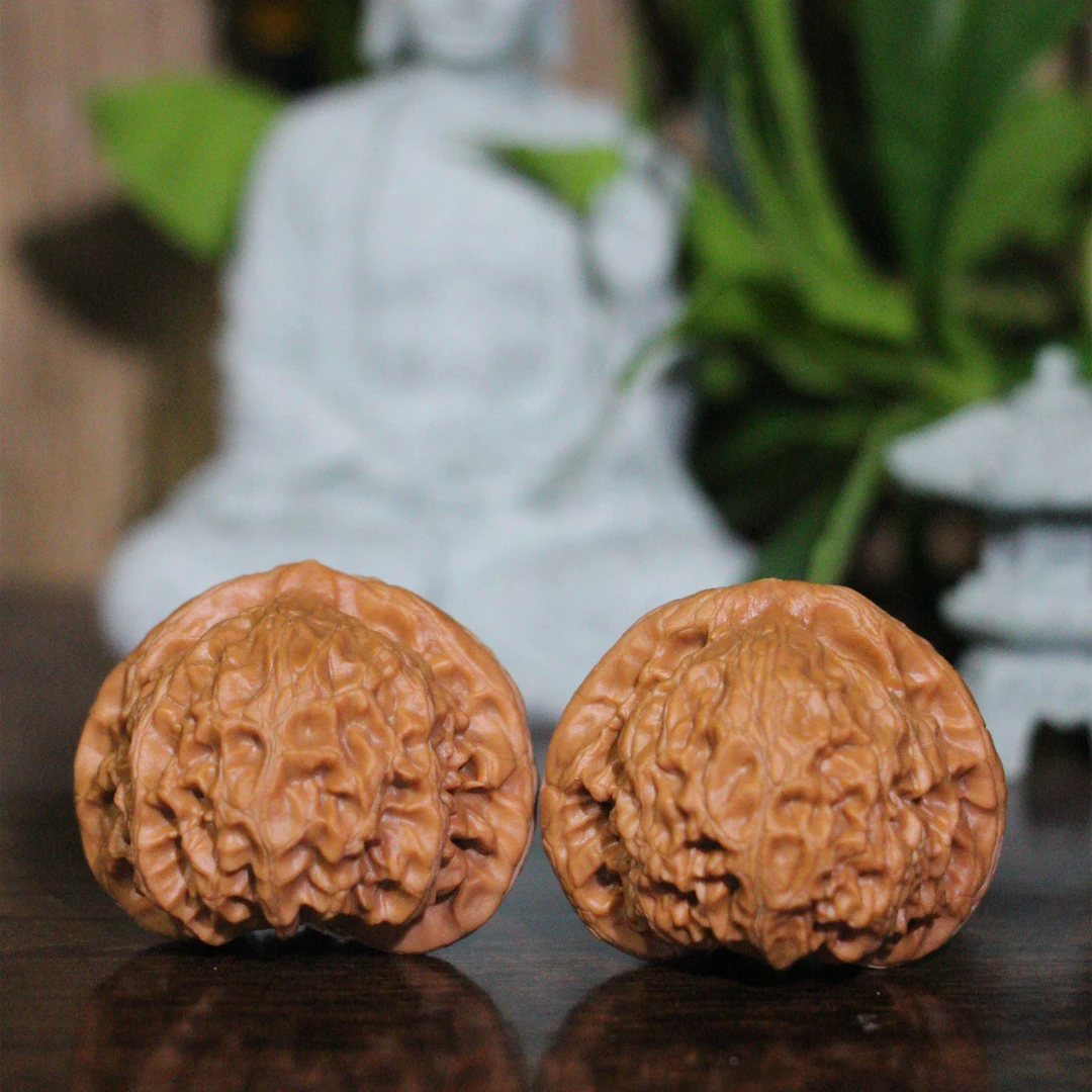 【文武核】玉玺宫灯狮子头（精品级）