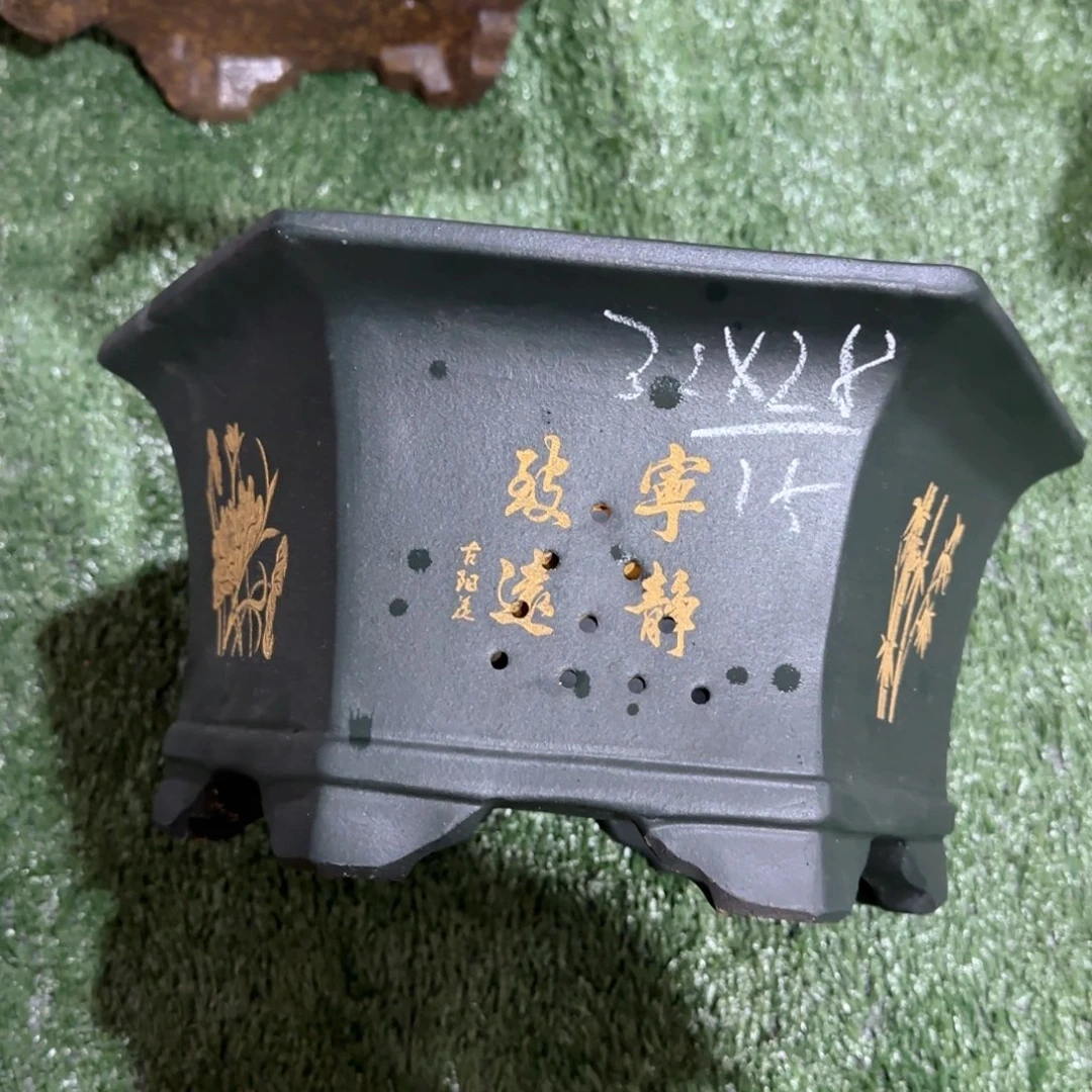 紫砂花盆我去看了一个人