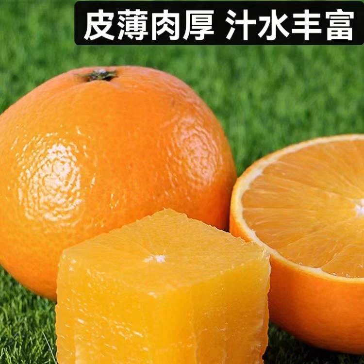 四川爱媛果冻橙应季现摘现发香甜可口