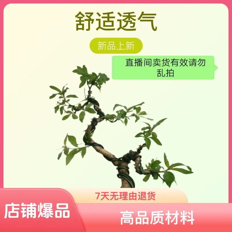 绿植(盆景)(素材)